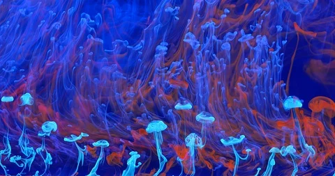 Blue Red Orange Pan-3 Stock-Footage 124602260