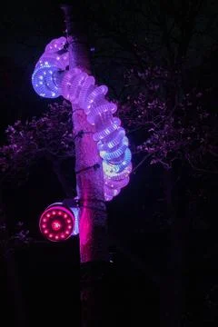 Blue-red-pink-Led covering old tress 스톡 사진