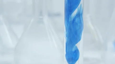 Blue regent. Stock Footage 248221467