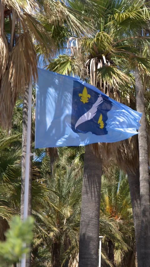 Blue Regional Flag Waving in Front of Tropical Palm Trees Stock-Footage 340190525