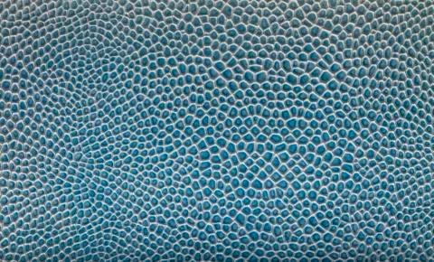 Blue reptile leather texture Stock Photos