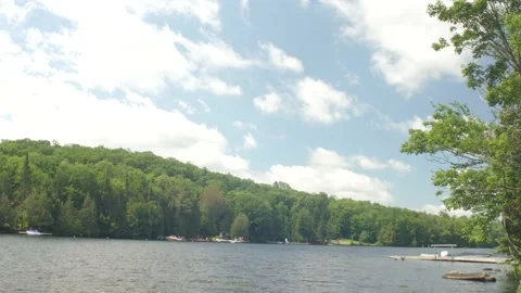 Blue resort lake surrounded by trees in summer Stock Footage 159041997