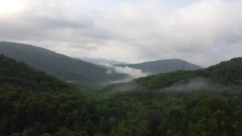 Blue Ridge Mountain Forest Flyover at Sunrise Stock Footage 157024536