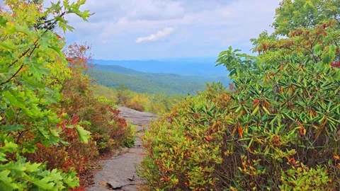 Blue Ridge Mountain Trail View Stock Footage 318958719