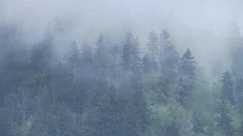 Blue Ridge Mountains Stock Footage 123909396