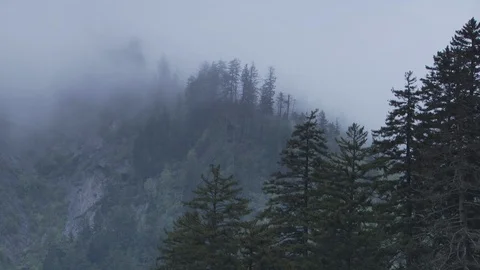Blue Ridge Mountains Stock Footage 123910503
