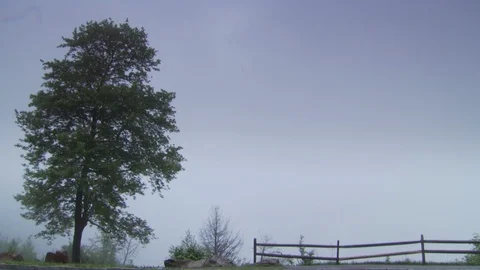 Blue Ridge Mountains Stock Footage 123910641