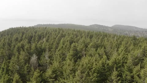 Blue Ridge Mountains Stock Footage 197387593