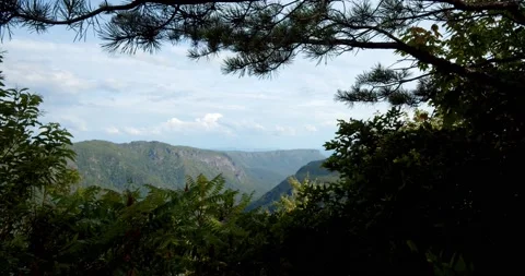 Blue Ridge Mountains Through the Trees, Beautiful Blue Sky 4K Stock Footage 141604710