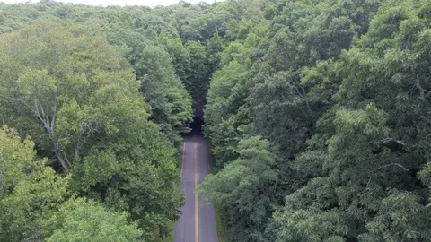 Blue Ridge Parkway #1 Stock Footage 128403205
