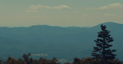 Blue Ridge Skyline with a tree Stock Footage 79854558