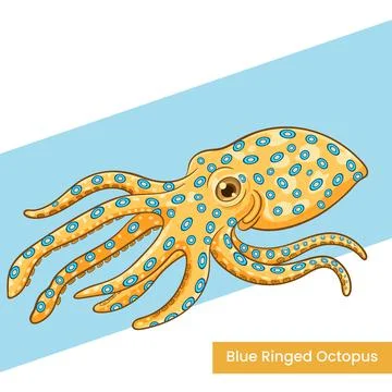 Blue Ringed Octopus Vector Illustration - Venomous Marine Mollusk Cartoon C.. Stock Illustration