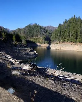Blue River After the Fire Stock Photos