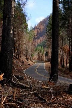 Blue River aftermath Stock Photos