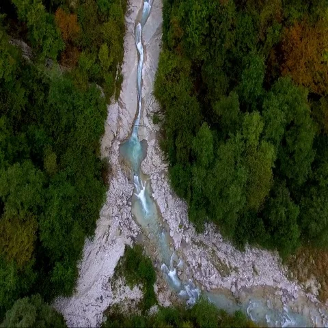 Blue River and Forest Video stock 69550799