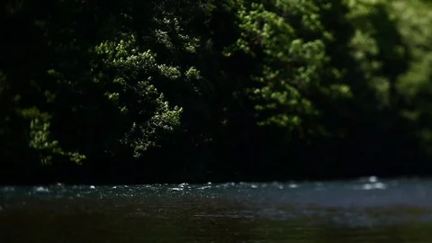 BLUE RIVER AND GREEN TREES WITH WATER FLOWING PAST Stock Footage 80694150
