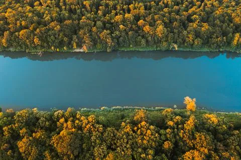Blue river flows through the forest, top view Stock Photos