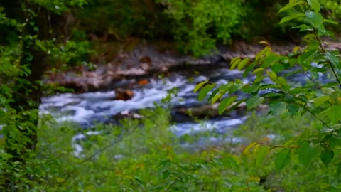 Blue river Stock Footage 137271832