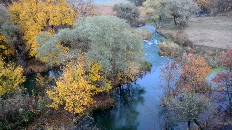 Blue river in the forest Stock Footage 58312827