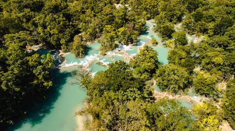 Blue river on the forest Stock Photos
