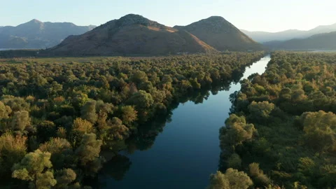 Blue river in green forest with mountain peaks in the background Stock Footage 161664995