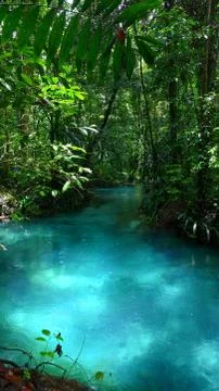 Blue river in the jungle Stock Photos