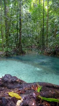Blue river in the jungle Stock Photos