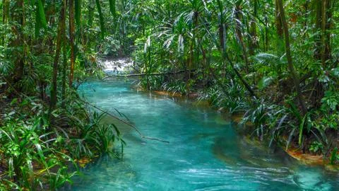 Blue river in the jungle Foto stock