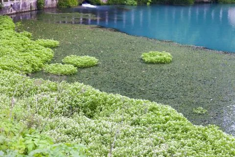 Blue river Stock Photos