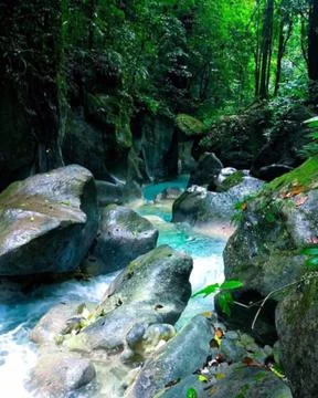 The Blue River Stock Photos