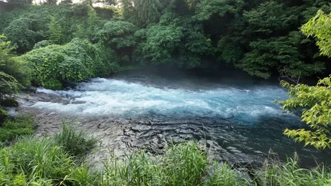 Blue river rapids framed by lush summer greenery Stock Footage 341175563