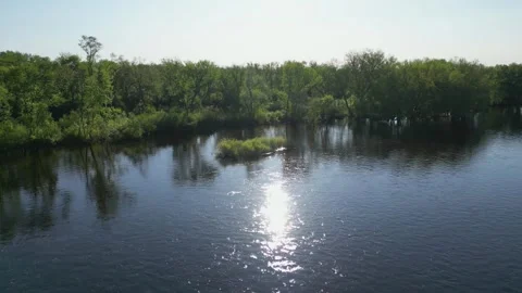 Blue River Surrounded By Green Forest and Trees Along Shoreline Stock Footage 241863894