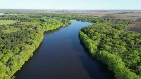 Blue River Surrounded By Green Forest and Aerial View of Trees Along Shoreline Stock Footage 241863905