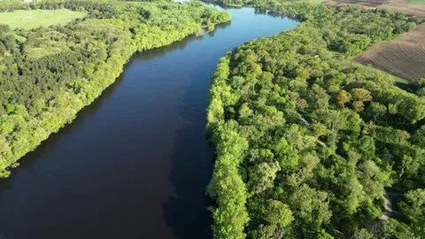 Blue River Surrounded By Green Forest and Aerial View of Trees Along Shoreline Stock Footage 241863906