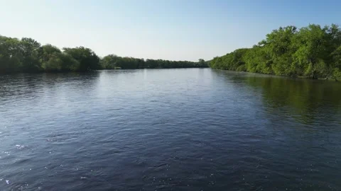 Blue River Surrounded By Green Forest and Trees Along Shoreline Flowing Water Stock Footage 241863907