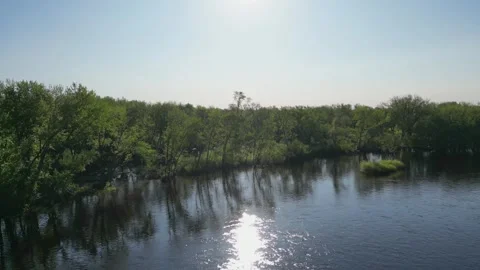 Blue River Surrounded By Green Forest and Trees Along Shoreline Flowing Water Stock Footage 241864146