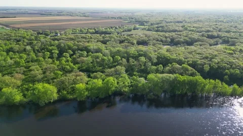 Blue River Surrounded By Green Forest and Aerial View of Trees Along Shoreline Stock Footage 241864160