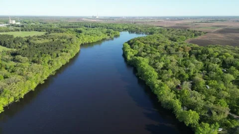 Blue River Surrounded By Green Forest and Aerial View of Trees Along Shoreline Stock Footage 241864524