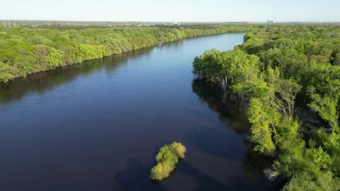 Blue River Surrounded By Green Forest and Aerial View of Trees Along Shoreline Stock Footage 241864730