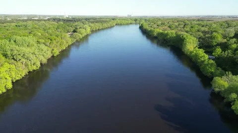 Blue River Surrounded By Green Forest and Aerial View of Trees Along Shoreline Stock Footage 241864745
