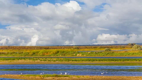 Blue river under cloudy sky time lapse scene Stock Footage 240110992