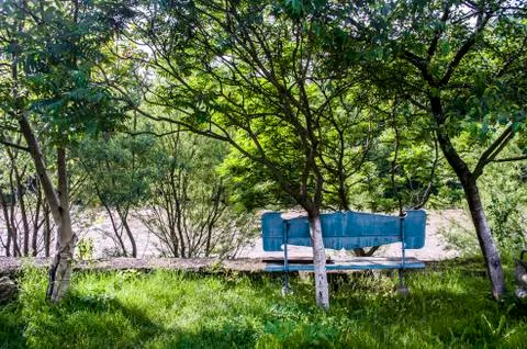 Blue romantic bench by the river between the trees. Stock Photos