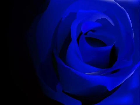 Blue rose on black Иллюстрация