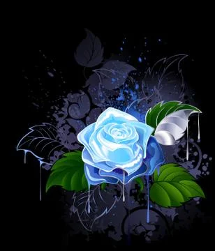 Blue Rose Illustrazione stock