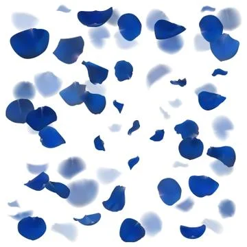 Blue rose leaves fall down. Stock Illustration