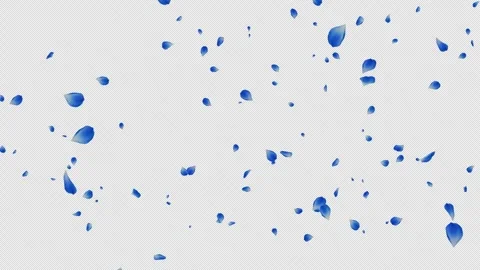 Blue Rose Petals Falling with Alpha Channel Transparent Overlay Stock Footage 332388032