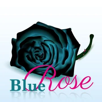 Blue Rose On white Background with Text Stock Illustration