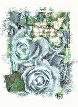 Blue roses Stock Photos
