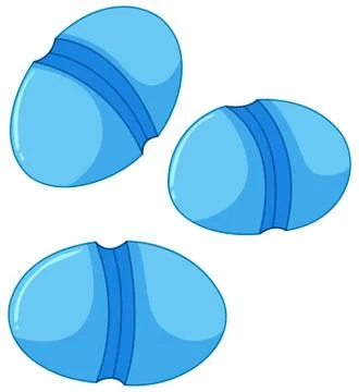 Blue round shaped bacteria in intestines Stock Illustration
