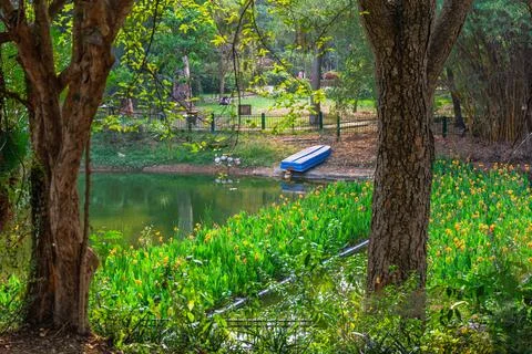 Blue rowboat beside flower-lined pond framed by trees and greenery Foto stock